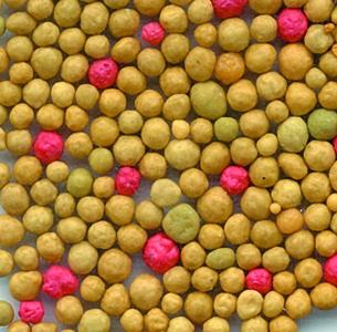 Engrais toiture végétalisée 10 kg